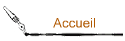 Accueil